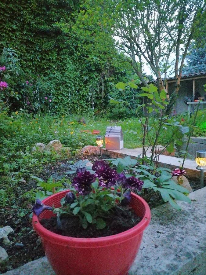La Maison De Raph Villeneuve d'Olmes Екстер'єр фото