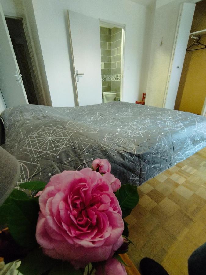 La Maison De Raph Villeneuve d'Olmes Екстер'єр фото